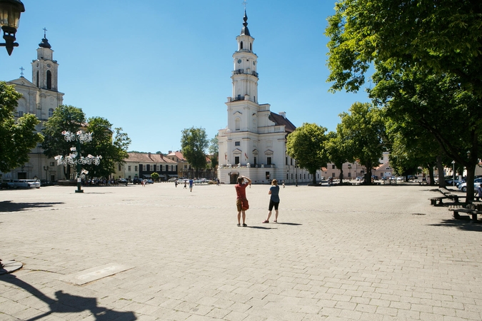 Kas uždažė valstybės simbolį?