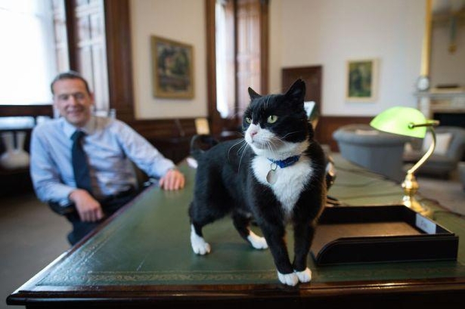 Sankcijos: kaip inkstui taukuose gyvenusiam Palmerstonui teks pačiam ieškoti maisto.