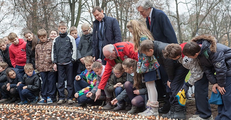 Bernardinų sode pasodinta 80 tūkstančių tulpių svogūnėlių 