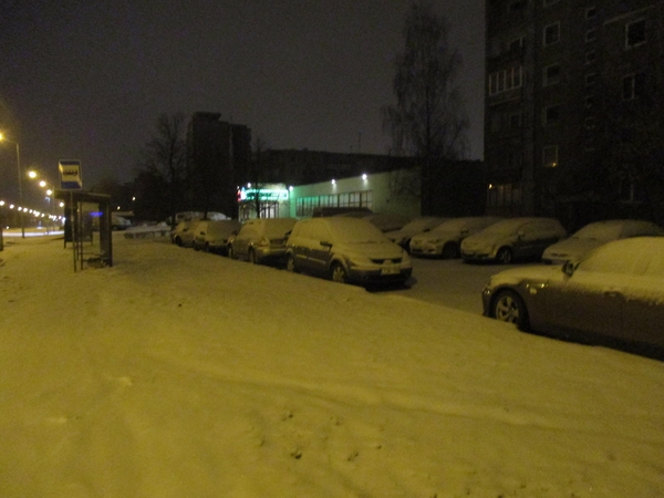 Kauno gatves ir kiemus nuklojo sniegas