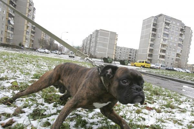 Šilti orai sugrįš ketvirtadienį