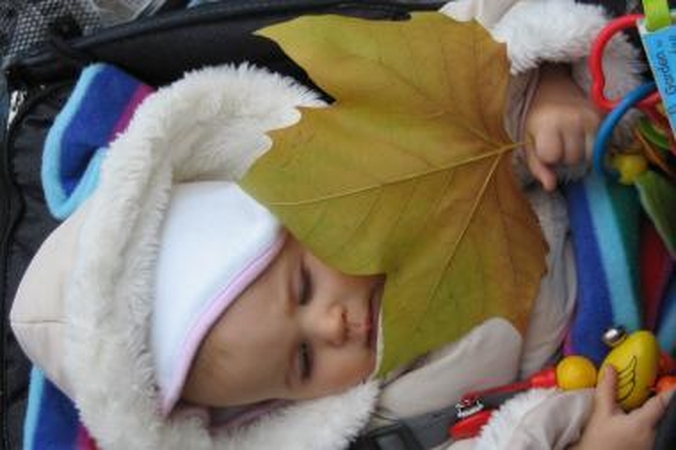Teismas leido vaikui duoti Lapkričio vardą