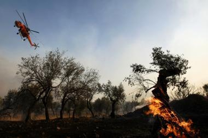 Graikijoje siaučia didelis miško gaisras 