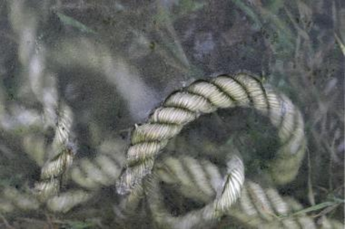 Užpuolikas buto šeimininką smaugė ir reikalavo pinigų