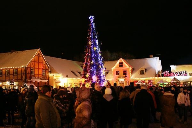 Įžiebta Klaipėdos miesto eglė 