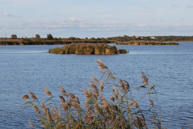 Kuršių mariose ties Klaipėda rastas skenduolis