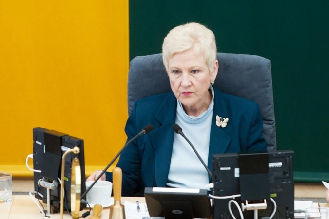 I.Degutienė: per pirmininko rinkimus išryškėjo liberalesnis ir konservatyvesnis partijos sparnai