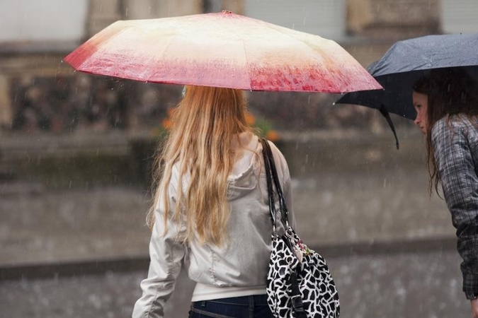 13 iš 15 pastarųjų metų buvo rekordiškai šilti