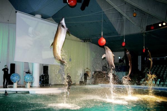 "Konsolė" už 10 mln. litų rekonstruos delfinariumą