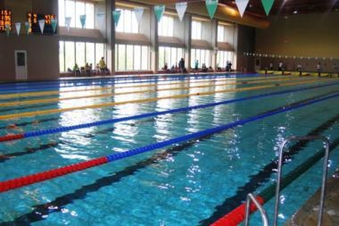 L.Pleskytė pasaulio plaukimo su plaukmenimis taurės varžybų nugalėtoja 