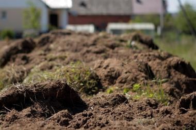 Dumblo įrenginiams diegti - 202 mln. litų