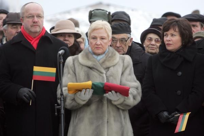 I.Degutienė: linkiu, kad šalies vėliava žymėtų ne tik istorines datas