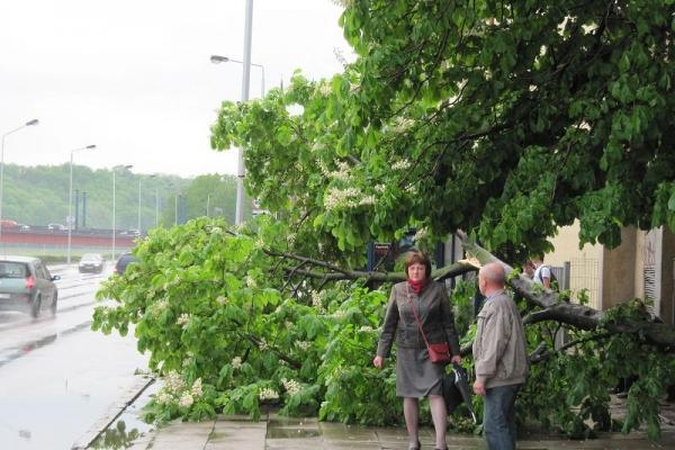 Audros padariniai: 2500 gyventojų – be elektros, išversti medžiai