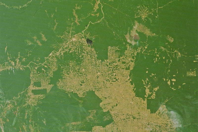 Brazilai baiminasi karo dėl atogrąžų miškų