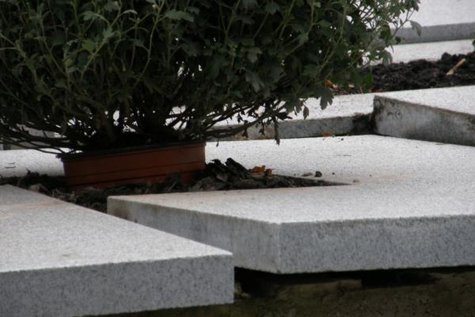 Skaitytojo informacija: Antakalnio kapinėse pasidarbavo vandalai