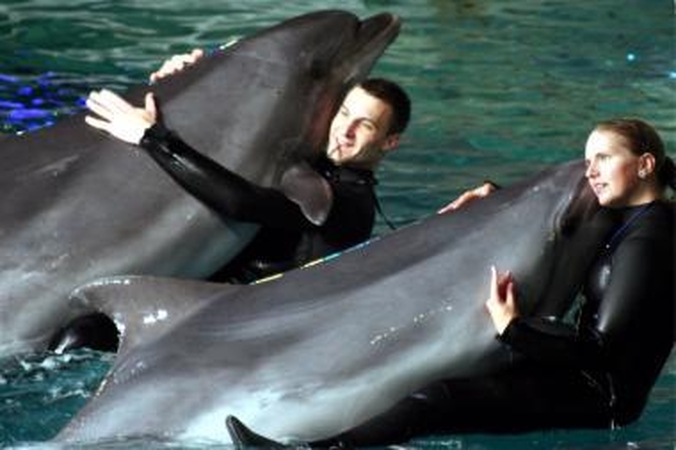 Delfinai vis dar laukia kelionės į Graikiją 