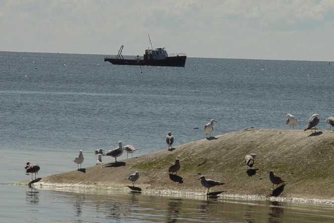 Neringiškiams tenka kovoti dėl vandens  