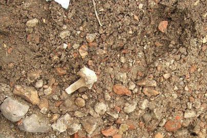 Prienų rajone — žmogaus skeletas 