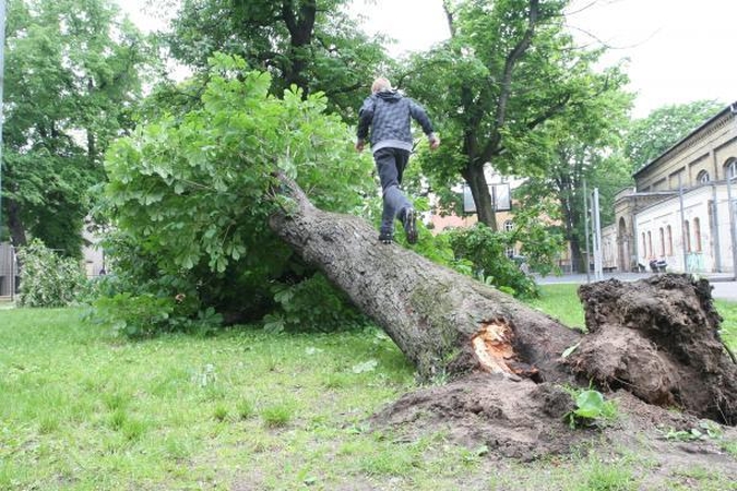 Ugniagesiai gelbėtojai pataria, kaip elgtis per audrą