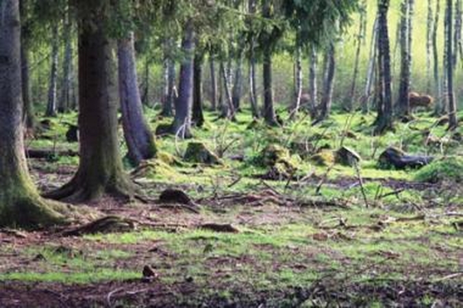 Opozicija neleidžia dvigubai didinti urėdijų pajamų apmokestinimo