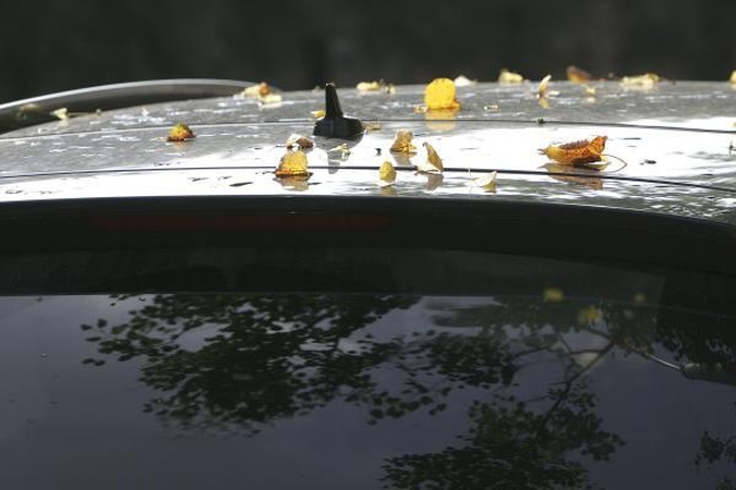 Savaitgalio orai – ramūs, bet šaltoki