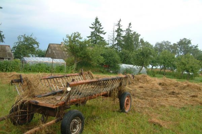 Telšiuose žaibas nutrenkė vadeliotoją ir padegė vežimą (papildyta)