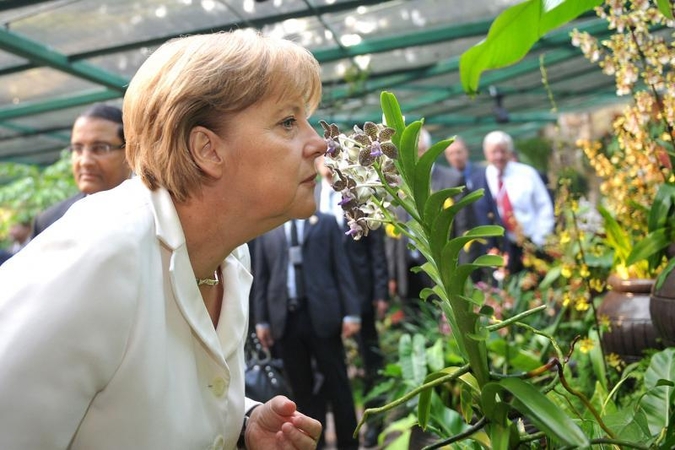 Vokietijos kanclerė Merkel sieks trečiosios kadencijos