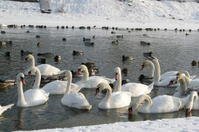 Orai: į Lietuvą ateina žiema su speigais