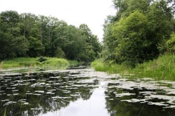 Gyventojai padeda saugoti gyvąją gamtą