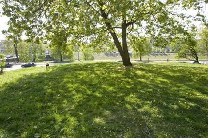Kas tvarkys Monsinjoro Kazimiero Vasiliausko skverą?