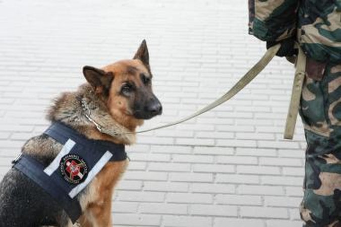 Pasienyje suaktyvėjo vagys ir nelegalūs migrantai