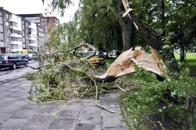Audra pajūryje vertė medžius ir plovė pliažus (papildyta)