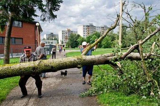 Sekmadienio naktį miestą nusiaubė audra (papildyta)