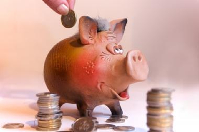 Seimas nesutiko iki 4 proc. didinti gyventojų įmokas "Sodrai"