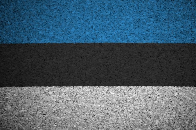 Rusų kalba yra gimtoji 26 proc. Estijos gyventojų