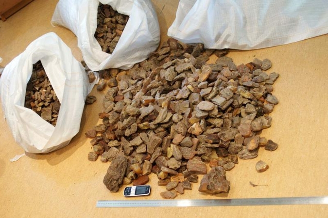 Nidoje sulaikyta beveik 80 kg kontrabandinio gintaro