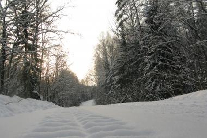 Prognozuotas sniegas atkeliavo iki Vilniaus (pildoma)