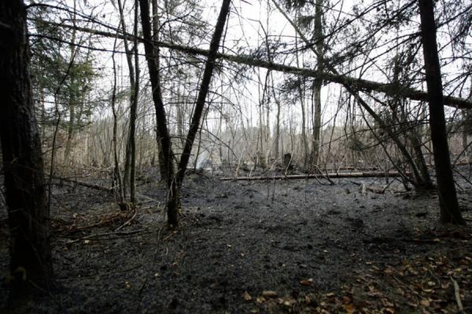 Širvintų r. sprogo dujotiekio vamzdis, kilo didžiulis gaisras (papildyta 14.30 val.)