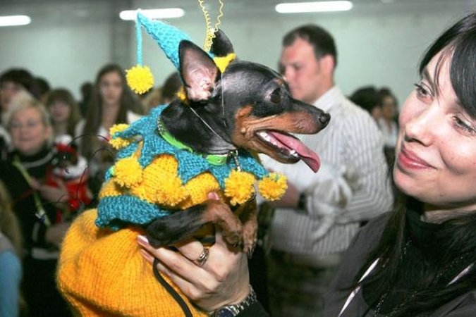 Pirmą kartą Lietuvoje - „Dog-o-weeno“ šventė 