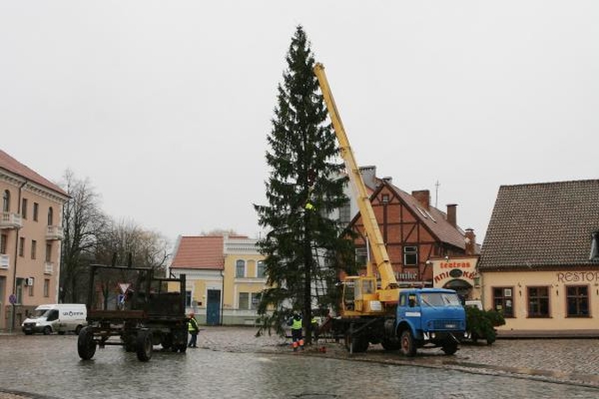 Šventinė eglė jau atvežta į Klaipėdą