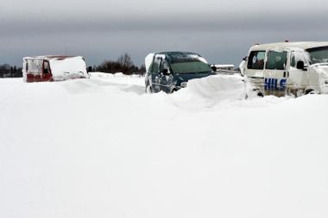 Estijoje dėl pūgos elektros neturi dar 3 500 namų ūkių