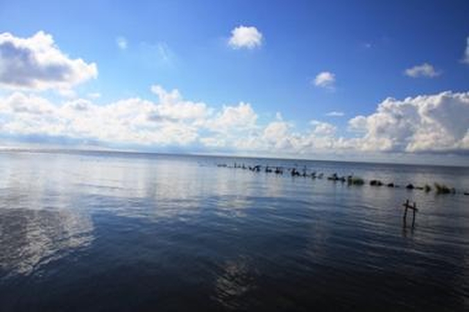Šią savaitę - vasariški orai