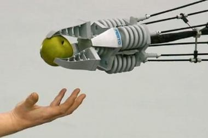 Bionika: robotų kūrėjai mokosi iš gamtos