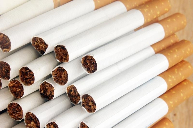 Vokiečių aviganė miške rado 5 tūkst. pakelių kontrabandinių cigarečių