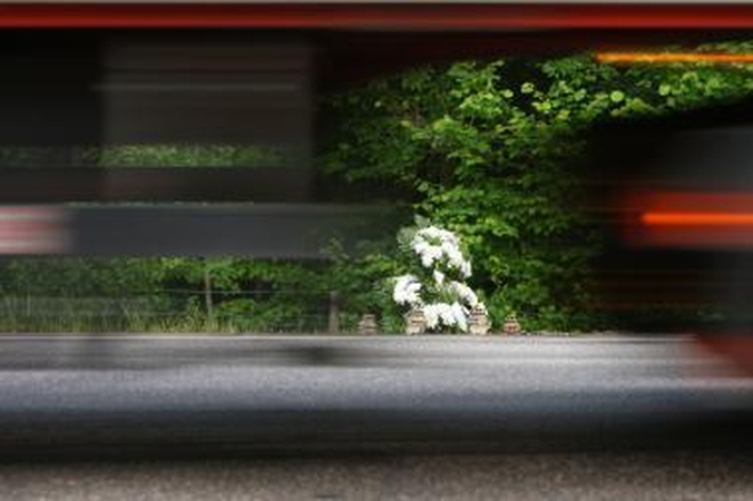 Molėtų rajone per avariją žuvo vairuotojas ir keleivė