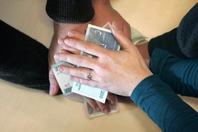 Vyriausybė svarsto programą, pagal kurią partijas parems 4 mln. litų