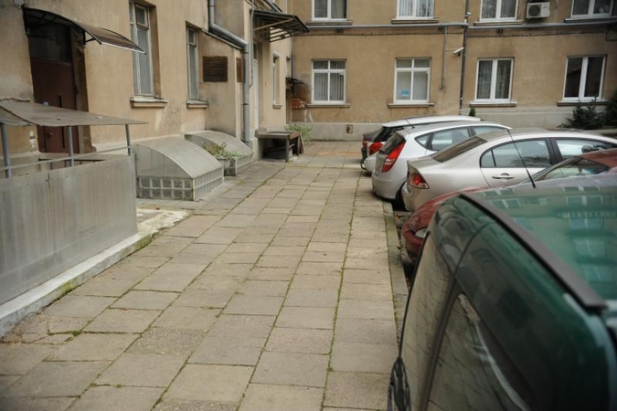 Vilniuje tragiškai žuvo A. Kaušpėdo dukra