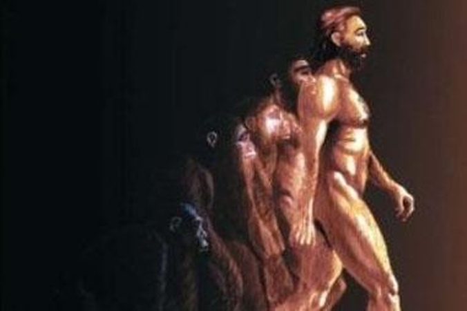 Homo sapiens dalijasi į naujas rūšis?