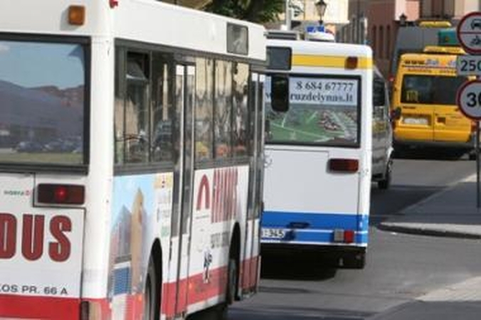 Vilniaus rajone pinga kelionė autobusu