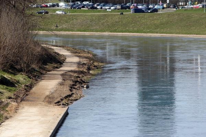 Į Nerį dar išleista per 5 tūkst. aštriašnipių eršketų jauniklių